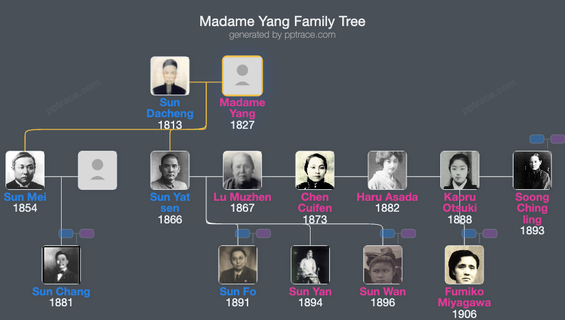 Madame Yang family tree overview
