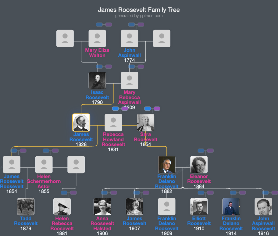James Roosevelt family tree overview