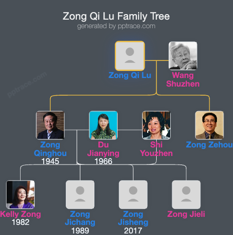 Zong Qi Lu family tree overview