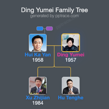 Ding Yumei family tree overview