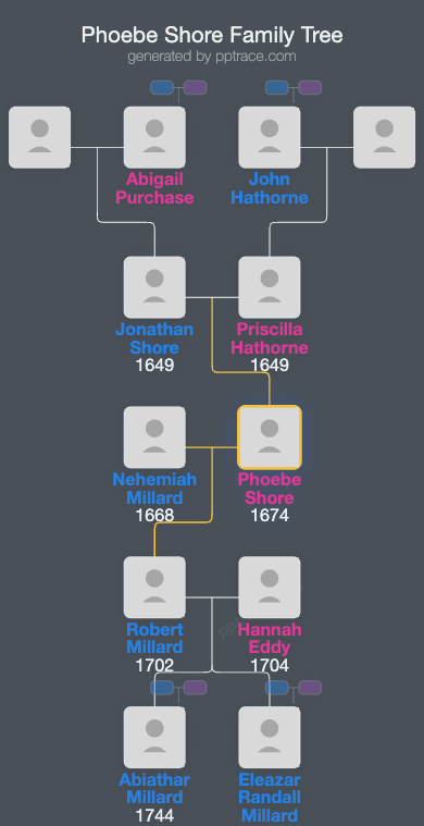 Phoebe Shore family tree overview