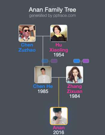 Anan family tree overview