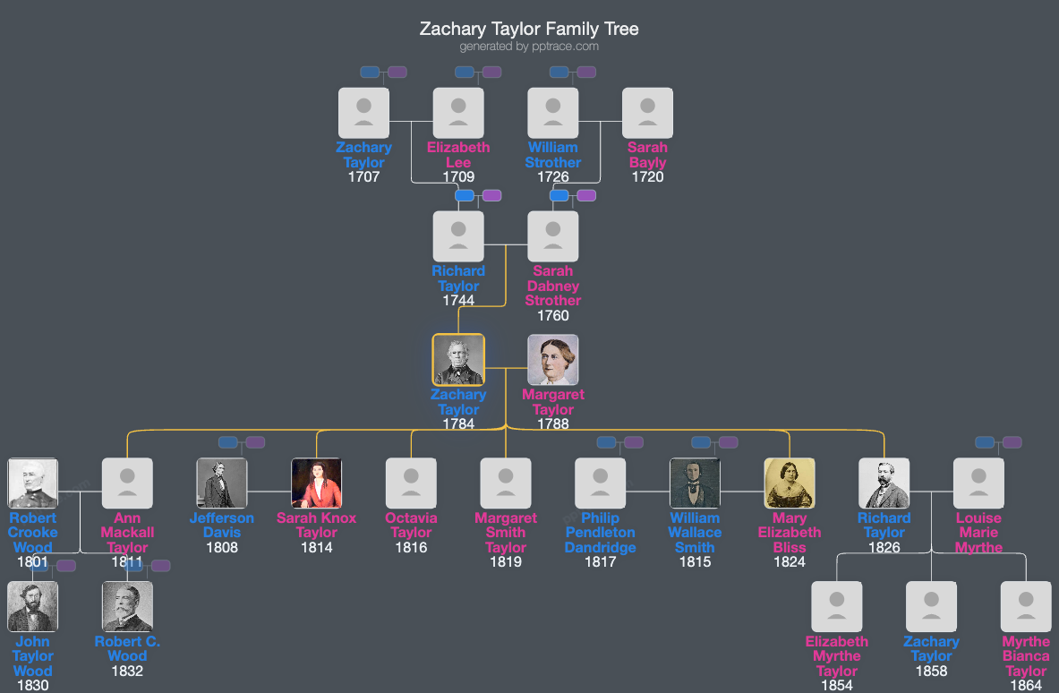 Zachary Taylor family tree overview