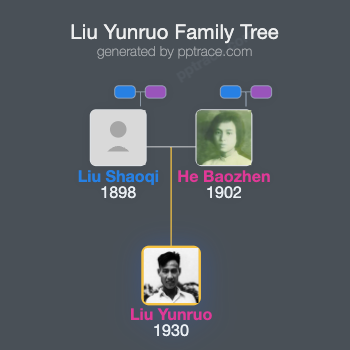 Liu Yunruo family tree overview