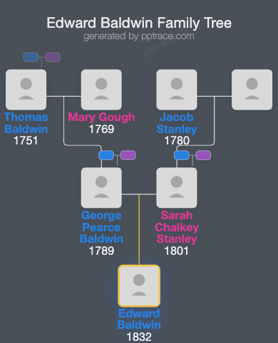 Edward Baldwin family tree overview
