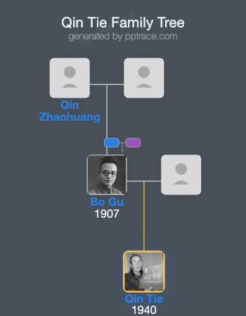 Qin Tie family tree overview