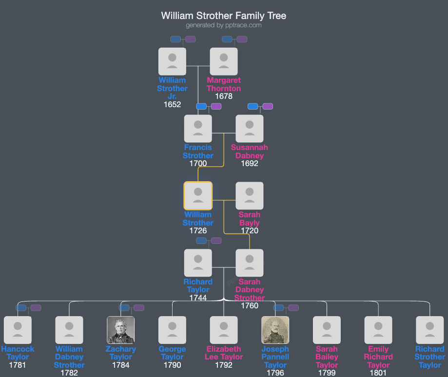 William Strother family tree overview