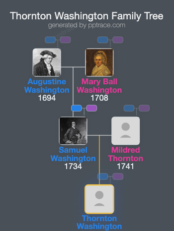 Thornton Washington family tree overview