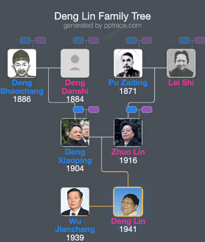 Deng Lin family tree overview