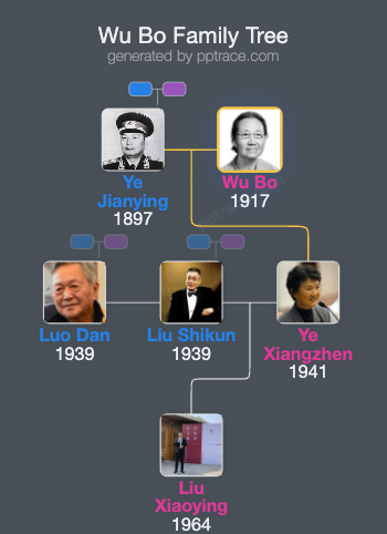Wu Bo family tree overview