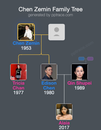 Chen Zemin family tree overview