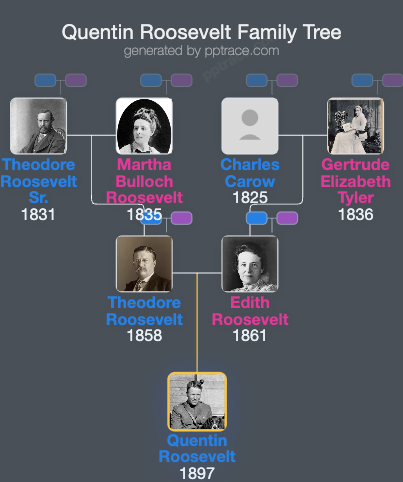Quentin Roosevelt family tree overview