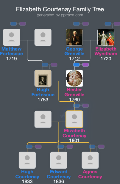 Elizabeth Courtenay, Countess Of Devon family tree overview