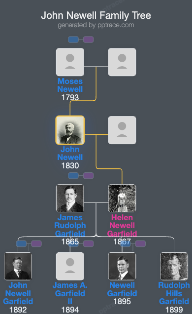 John Newell family tree overview