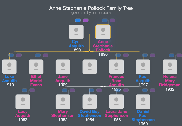 Anne Stephanie Pollock family tree overview