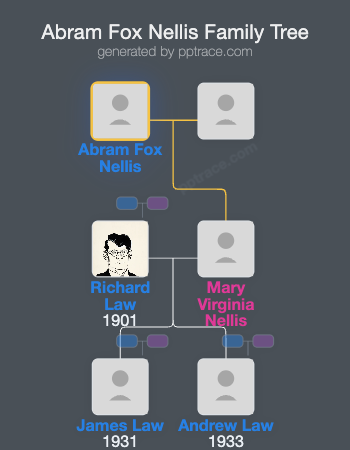 Abram Fox Nellis family tree overview