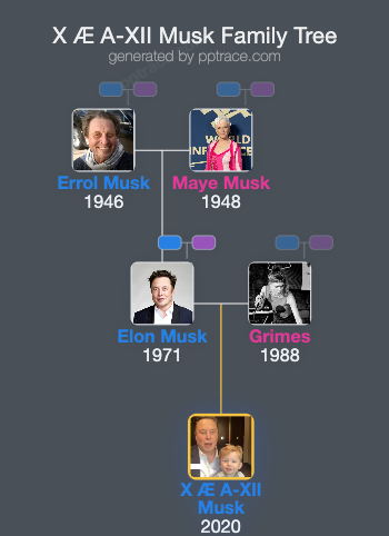 X Æ A-Ⅻ Musk family tree overview