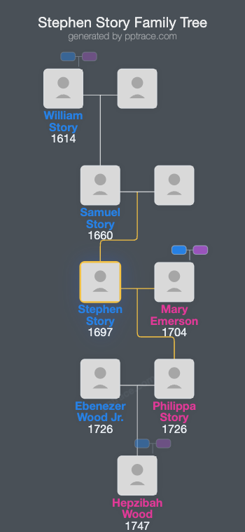 Stephen Story family tree overview