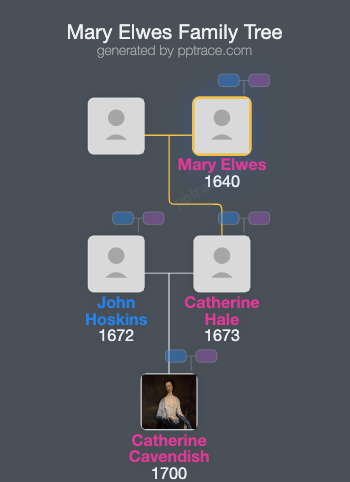 Mary Elwes family tree overview