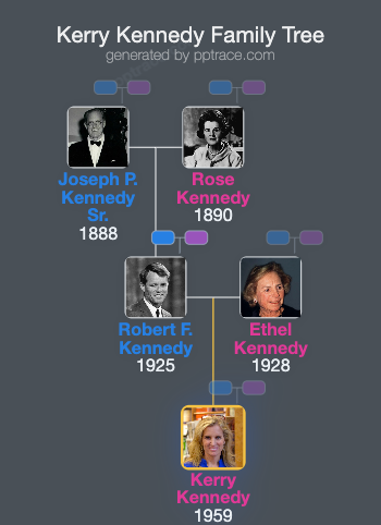 Kerry Kennedy family tree overview