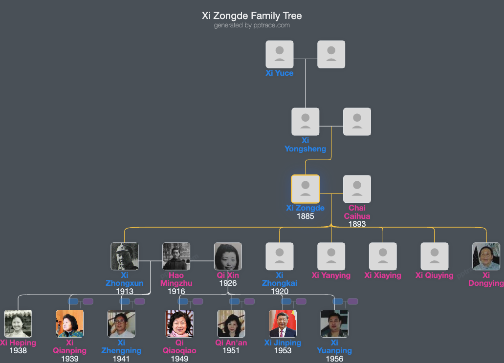 Xi Zongde family tree overview