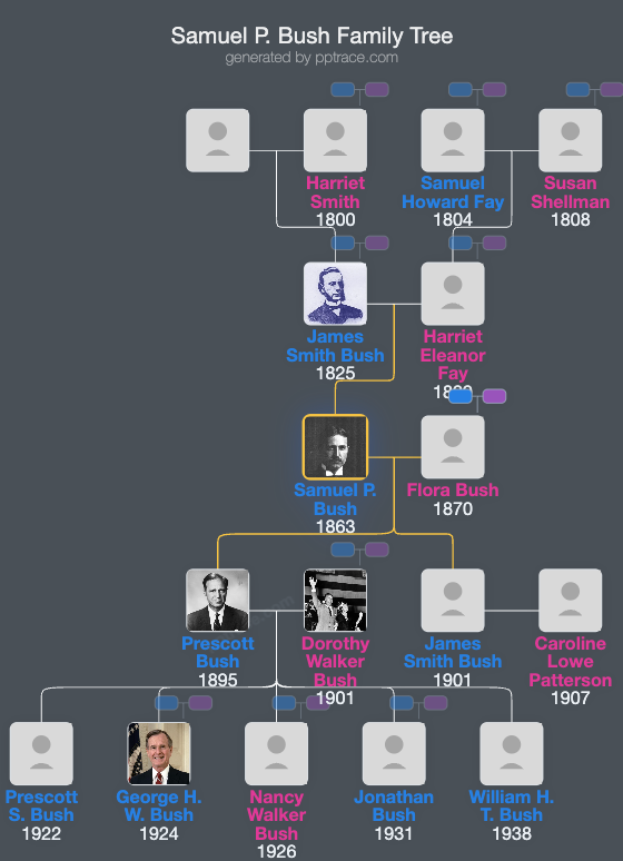 Samuel P. Bush family tree overview