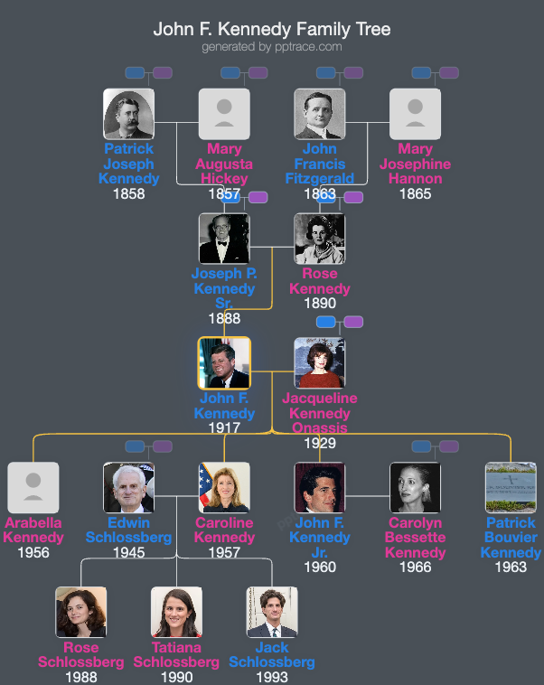 John F. Kennedy family tree overview