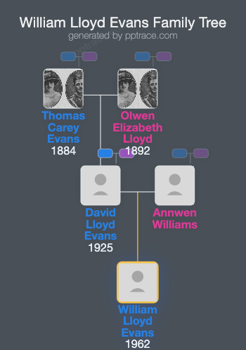 William Lloyd Evans family tree overview