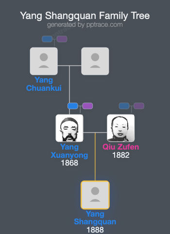 Yang Shangquan family tree overview