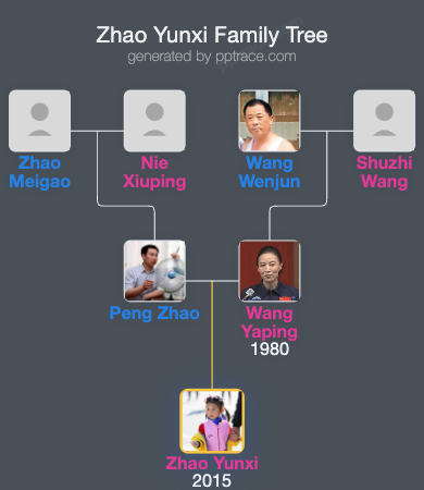 Zhao Yunxi family tree overview