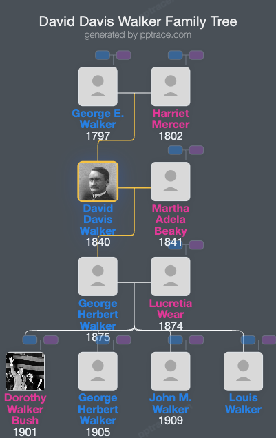 David Davis Walker family tree overview