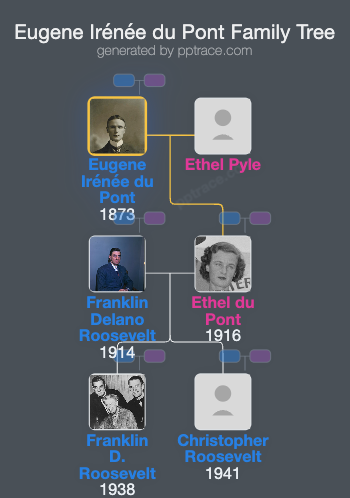 Eugene Irénée Du Pont, Jr. family tree overview
