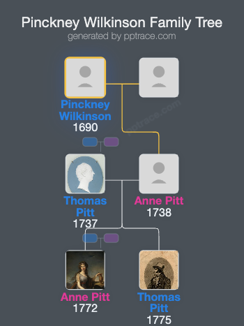 Pinckney Wilkinson family tree overview