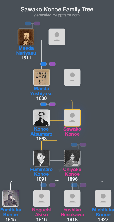 Sawako Konoe family tree overview