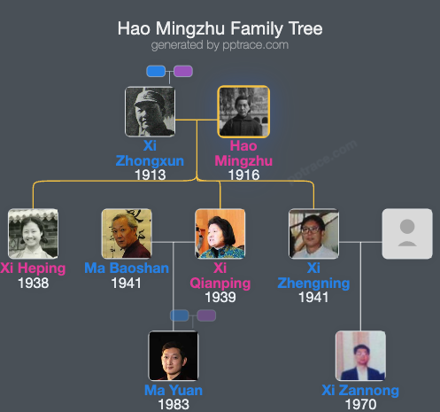 Hao Mingzhu family tree overview