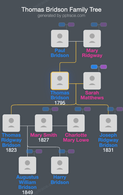 Thomas Bridson family tree overview