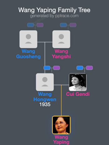 Wang Yaping family tree overview
