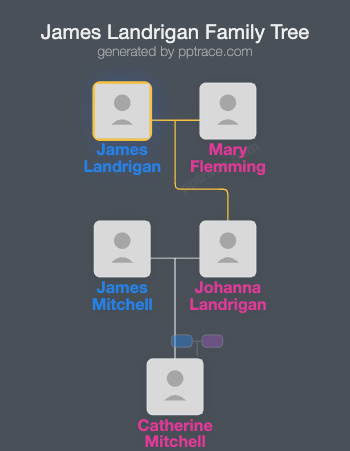 James Landrigan family tree overview