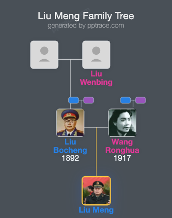 Liu Meng family tree overview