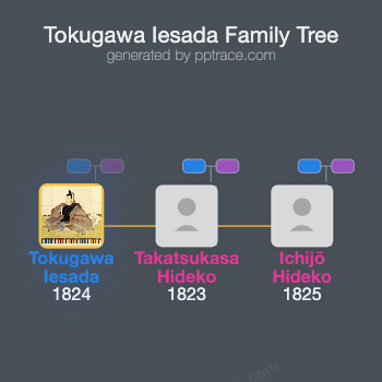 Tokugawa Iesada family tree overview