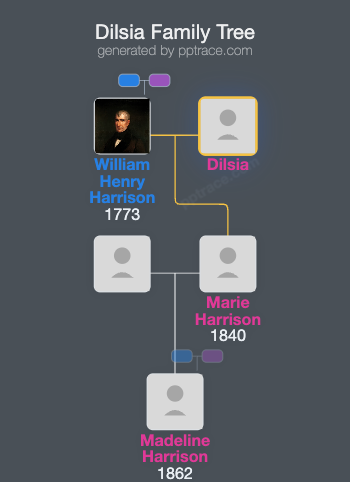 Dilsia family tree overview