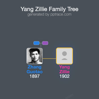 Yang Zillie family tree overview