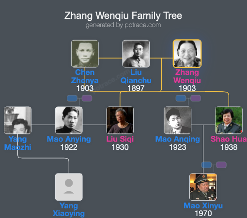 Zhang Wenqiu family tree overview