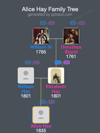 Alice Hay family tree overview