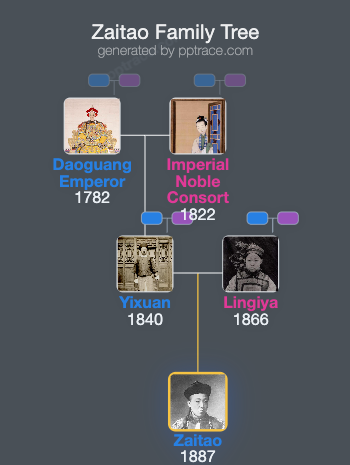 Zaitao family tree overview