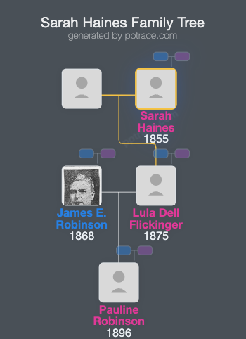 Sarah Haines family tree overview