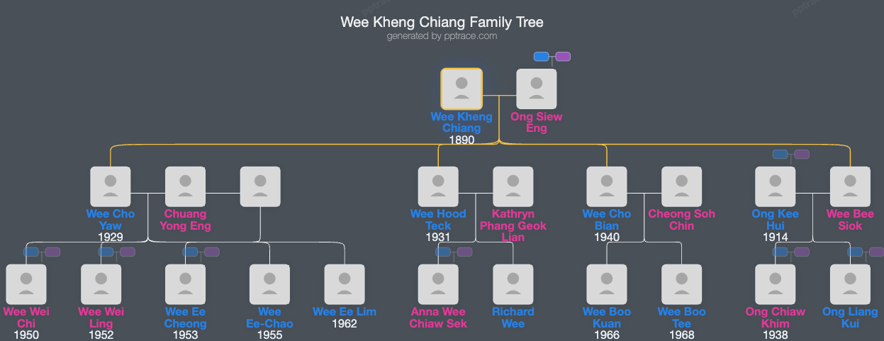 Wee Kheng Chiang family tree overview
