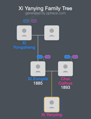 Xi Yanying family tree overview