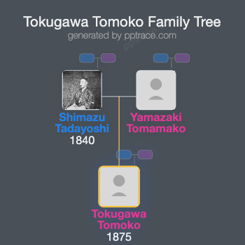 Tokugawa Tomoko family tree overview