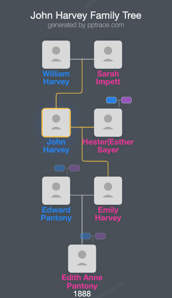 John Harvey family tree overview